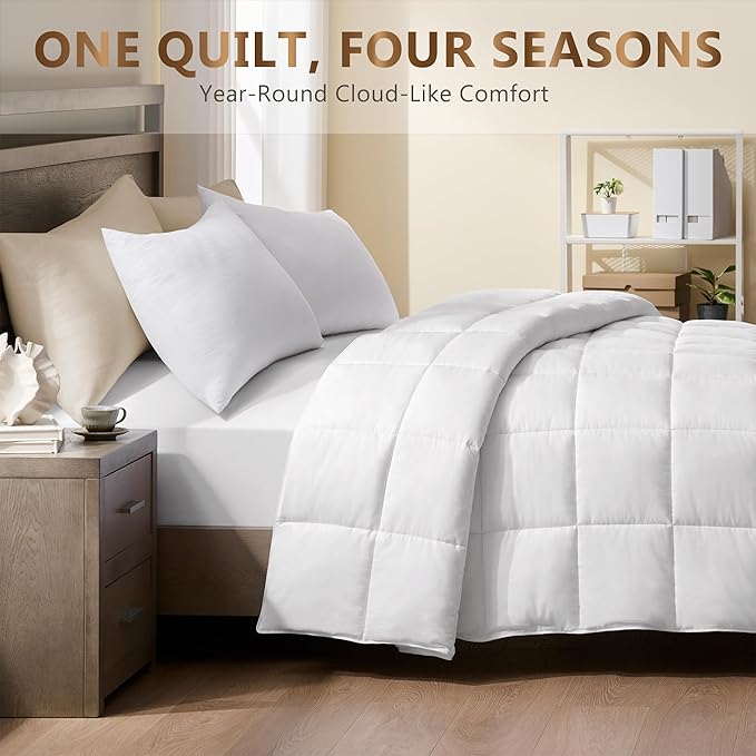product-679-679